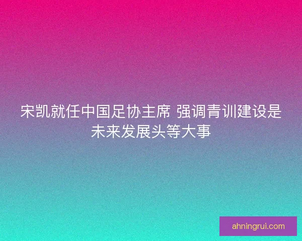 宋凯就任中国足协主席 强调青训建设是未来发展头等大事