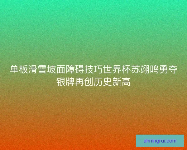 单板滑雪坡面障碍技巧世界杯苏翊鸣勇夺银牌再创历史新高
