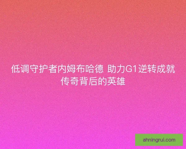 低调守护者内姆布哈德 助力G1逆转成就传奇背后的英雄